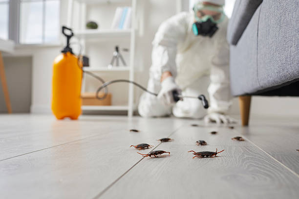 Commercial Kitchen Cockroach Control in Rosaryville